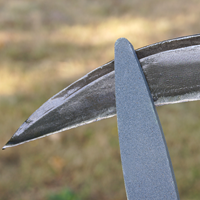 flor10940-MI-4.png