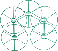 flor78430-ANG-3.png