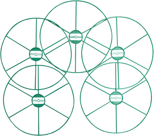 flor78430-ANG-3.png