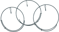 flor78440-ANG-3.png