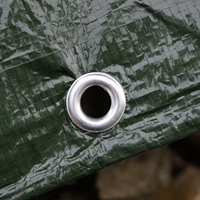 flor80435-ANG-1.png