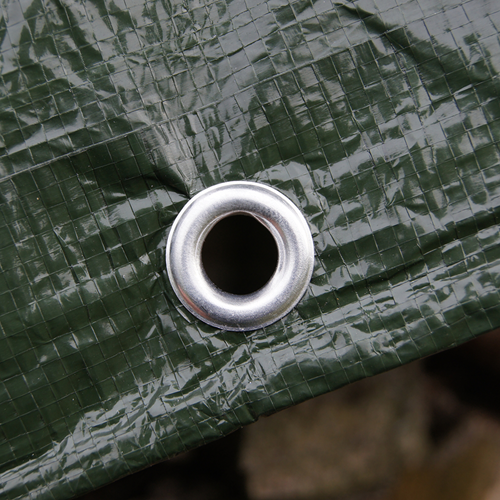 flor80435-ANG-1.png