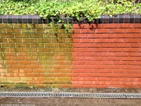 hp-clean-03-groenaanslag.jpg