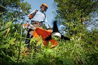 Stihl FS 240 C-E Benzine Bosmaaier | 37,7 cm³ | 1,7 kW | 420 mm - 41472000373-2