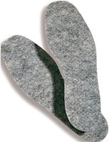 Inlegzolen