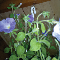 ky5011003-ANG-1.png