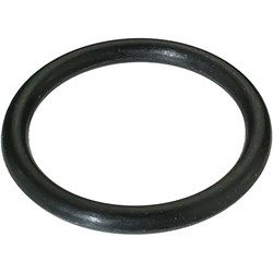 O-ring