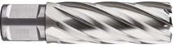 Rotec HSS Kernboor SILVER-LINE, weldon 19, ø14x55 - 536.1401W