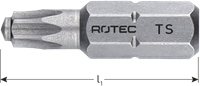 Rotec Schroefbit T-S 25 | L=25 | C6.3 | BASIC | 2 stuks - 806.80252-2